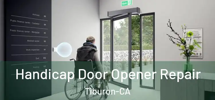  Handicap Door Opener Repair Tiburon-CA